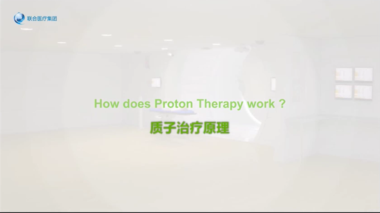 Principles of proton therapy for tumors